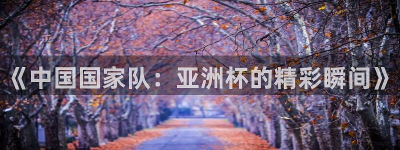 《中国国家队：亚洲杯的精彩瞬间》