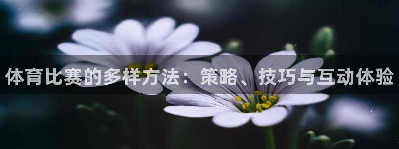 杏鑫平台开户链接：体育比赛的多样方法：策略、技巧与互动体验