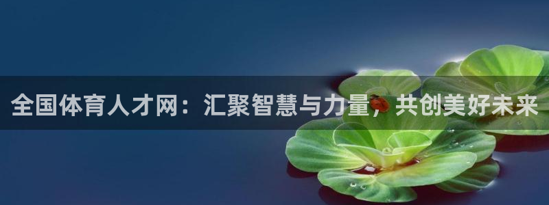 杏鑫体育热门赛事有哪些