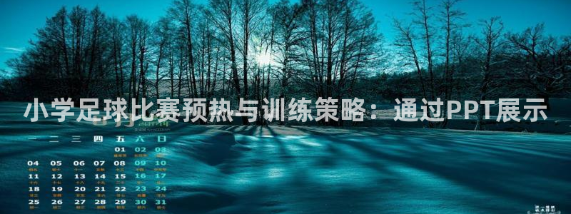 杏鑫体育免费注册入口：小学足球比赛预热与训练策略：通过PPT展示