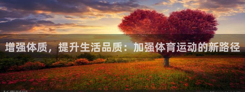 杏鑫体育官网入口登录：增强体质，提升生活品质：加强体育运动的新路径