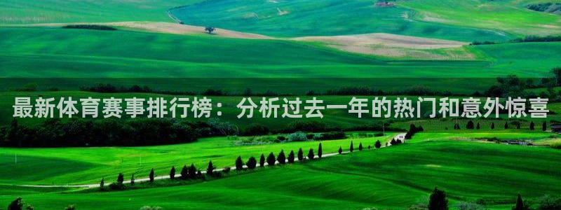杏鑫主管：最新体育赛事排行榜：分析过去一年的热门和意外惊喜