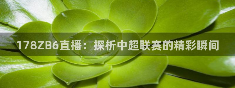 杏鑫登录注册：178ZB6直播：探析中超联赛的精彩瞬间