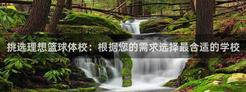 杏鑫登录：挑选理想篮球体校：根据您的需求选择最合适的学校
