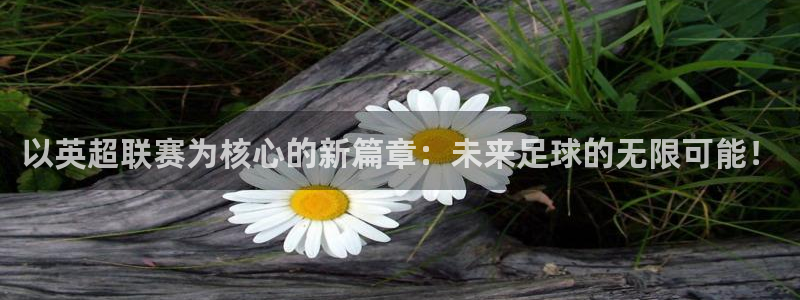 杏鑫体育凯捷登陆：以英超联赛为核心的新篇章：未来足球的无限可能！